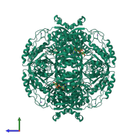 Homo tetrameric assembly 2 of PDB entry 2j6l coloured by chemically distinct molecules, side view.