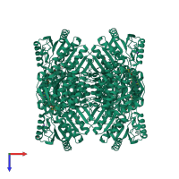 Homo tetrameric assembly 2 of PDB entry 2j6l coloured by chemically distinct molecules, top view.