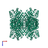 Alpha-aminoadipic semialdehyde dehydrogenase in PDB entry 2j6l, assembly 2, top view.