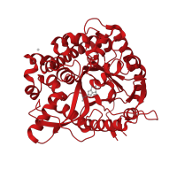 The deposited structure of PDB entry 2j7g contains 2 copies of CATH domain 3.20.20.80 (TIM Barrel) in Beta-glucosidase A. Showing 1 copy in chain B.