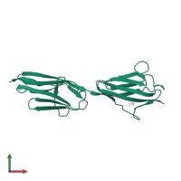 Titin in PDB entry 2j8o, assembly 1, front view.