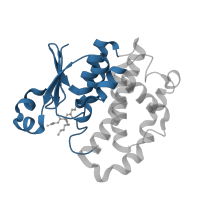 The deposited structure of PDB entry 2j9h contains 2 copies of CATH domain 3.40.30.10 (Glutaredoxin) in Glutathione S-transferase P. Showing 1 copy in chain A.