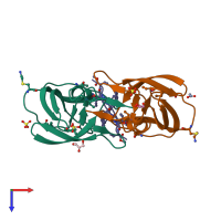 PDB entry 2j9j coloured by chain, ensemble of 2 models, top view.