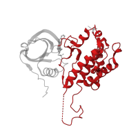 The deposited structure of PDB entry 2jbo contains 1 copy of CATH domain 1.10.510.10 (Transferase(Phosphotransferase); domain 1) in MAP kinase-activated protein kinase 2. Showing 1 copy in chain A.