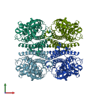 PDB entry 2jbr coloured by chain, front view.