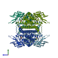 PDB entry 2jbt coloured by chain, side view.