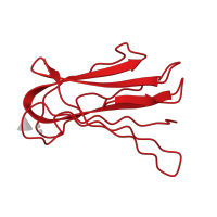 The deposited structure of PDB entry 2jdk contains 4 copies of CATH domain 2.60.120.400 (Jelly Rolls) in Calcium-mediated lectin domain-containing protein. Showing 1 copy in chain A.