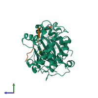 PDB entry 2jdr coloured by chain, side view.