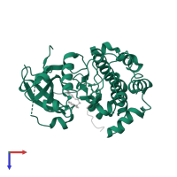 RAC-beta serine/threonine-protein kinase in PDB entry 2jdr, assembly 1, top view.