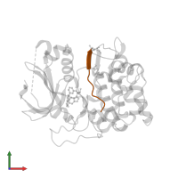 Glycogen synthase kinase-3 beta in PDB entry 2jdr, assembly 1, front view.