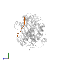 Glycogen synthase kinase-3 beta in PDB entry 2jdr, assembly 1, side view.