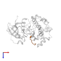 Glycogen synthase kinase-3 beta in PDB entry 2jdr, assembly 1, top view.