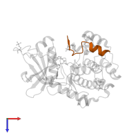 cAMP-dependent protein kinase inhibitor alpha in PDB entry 2jds, assembly 1, top view.