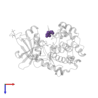 Modified residue TPO in PDB entry 2jds, assembly 1, top view.