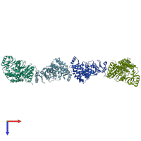 PDB entry 2jfd coloured by chain, top view.