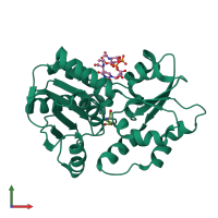PDB entry 2jfn coloured by chain, front view.