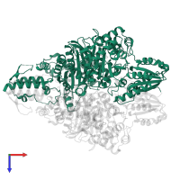 2-oxoglutarate dehydrogenase E1 component in PDB entry 2jgd, assembly 1, top view.