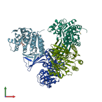 PDB entry 2jgv coloured by chain, front view.