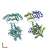PDB entry 2jhe coloured by chain, front view.