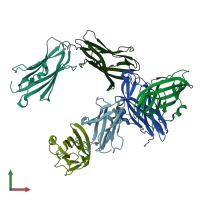 PDB entry 2jhv coloured by chain, front view.