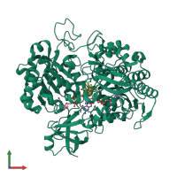 PDB entry 2jio coloured by chain, front view.