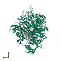 PDB entry 2jir coloured by chain, side view.