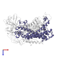 Reaction center protein M chain in PDB entry 2jj0, assembly 1, top view.