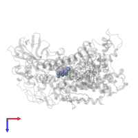 UBIQUINONE-10 in PDB entry 2jj0, assembly 1, top view.