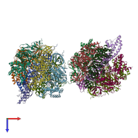 PDB entry 2jj2 coloured by chain, top view.