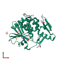 PDB entry 2jjr coloured by chain, front view.