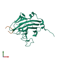 PDB entry 2jk9 coloured by chain, front view.