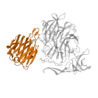 The deposited structure of PDB entry 2jkb contains 1 copy of Pfam domain PF02973 (Sialidase, N-terminal domain) in Sialidase B. Showing 1 copy in chain A.