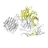 The deposited structure of PDB entry 2jkb contains 1 copy of Pfam domain PF13088 (BNR repeat-like domain) in Sialidase B. Showing 1 copy in chain A.