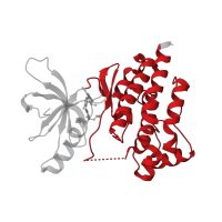 The deposited structure of PDB entry 2jkm contains 1 copy of CATH domain 1.10.510.10 (Transferase(Phosphotransferase); domain 1) in Focal adhesion kinase 1. Showing 1 copy in chain A.