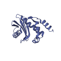 The deposited structure of PDB entry 2jkr contains 2 copies of CATH domain 3.30.450.60 (Beta-Lactamase) in AP-2 complex subunit sigma. Showing 1 copy in chain D [auth I].