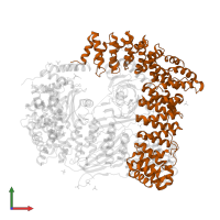 AP-2 complex subunit beta in PDB entry 2jkr, assembly 1, front view.