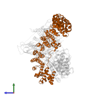 AP-2 complex subunit beta in PDB entry 2jkr, assembly 1, side view.