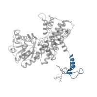 The deposited structure of PDB entry 2jkv contains 5 copies of CATH domain 1.20.5.320 (Single alpha-helices involved in coiled-coils or other helix-helix interfaces) in 6-phosphogluconate dehydrogenase, decarboxylating. Showing 1 copy in chain A.