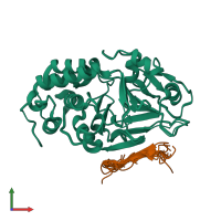 PDB entry 2jog coloured by chain, ensemble of 10 models, front view.