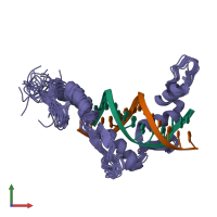 PDB entry 2jpa coloured by chain, ensemble of 20 models, front view.