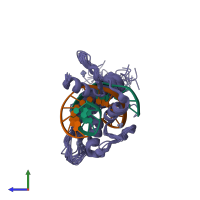 PDB entry 2jpa coloured by chain, ensemble of 20 models, side view.