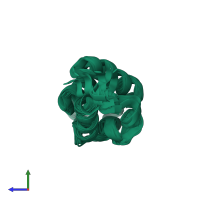 PDB entry 2jq4 coloured by chain, ensemble of 20 models, side view.