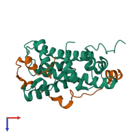 Hetero dimeric assembly 1 of PDB entry 2jss coloured by chemically distinct molecules, top view.