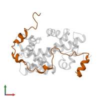 Histone H2A.Z-specific chaperone CHZ1 in PDB entry 2jss, assembly 1, front view.