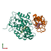 PDB entry 2jti coloured by chain, ensemble of 10 models, front view.