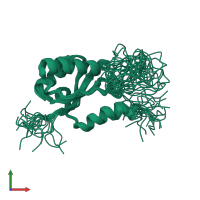 PDB entry 2k06 coloured by chain, ensemble of 20 models, front view.