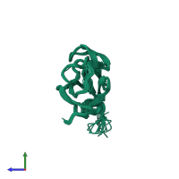 PDB entry 2k0r coloured by chain, ensemble of 20 models, side view.