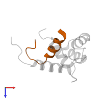 Protein SFI1 homolog in PDB entry 2k2i, assembly 1, top view.