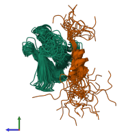 PDB entry 2k2u coloured by chain, ensemble of 20 models, side view.