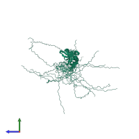 PDB entry 2k3a coloured by chain, ensemble of 20 models, side view.